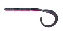 Load image into Gallery viewer, Big Bite Baits 10" B2 Worm