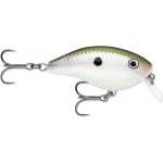 Load image into Gallery viewer, Rapala Ott's Garage Rocco 05