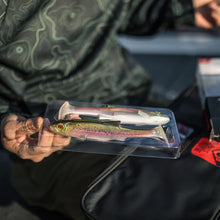Load image into Gallery viewer, Bass Mafia Daingerous Swimbait 2pk