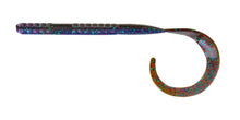 Load image into Gallery viewer, Big Bite Baits 10" B2 Worm
