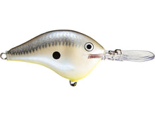 Load image into Gallery viewer, Rapala DT10