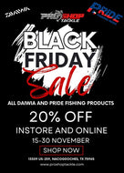 Black Friday Sale