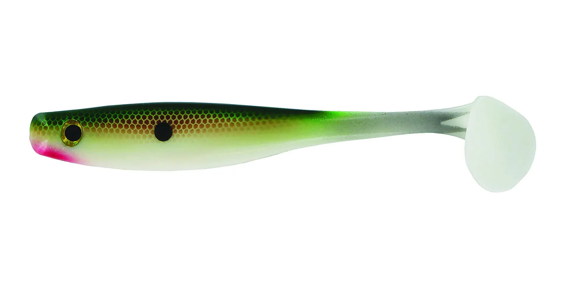 https://proshoptackle.com/cdn/shop/products/plastic-fresh-water-fishing-bait-suicide-shad-tennessee-shad-scaled_ef9225b0-189b-4a0b-9c5b-47e8173cfcf2_1024x1024@2x.webp?v=1676319622