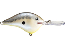 Load image into Gallery viewer, Rapala DT6

