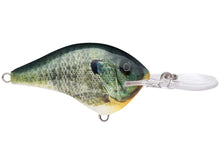 Load image into Gallery viewer, Rapala Dt4
