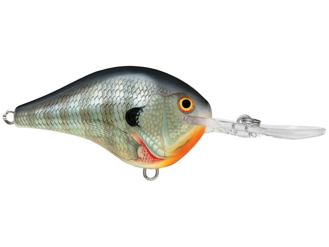 Rapala DT10